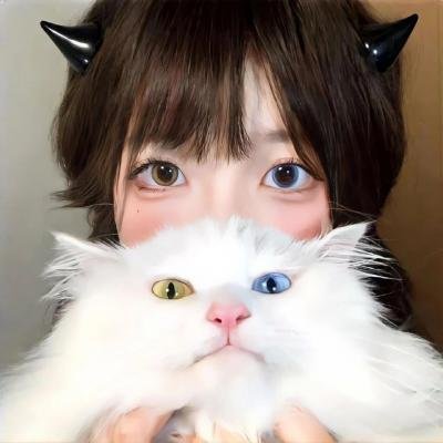痞子高手